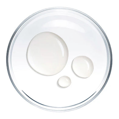 Plant Collagen Fragments